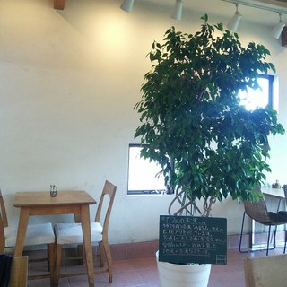 フォーシーズン_2