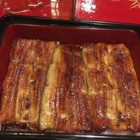 うなぎ割烹 大江戸 - 