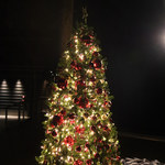 せきれい橋 川上庵 - 