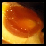 醤油屋 一平 - とろとろの玉子