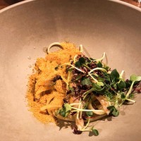 セルサルサーレ - 