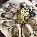 FAST OYSTERS - 