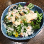 鶏屋 白羽鳥 - 季節野菜十品目のシーザーサラダ
