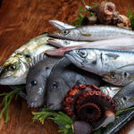 Kinnokoma - 
      こだわりの鮮魚・魚介
      
      豊洲市場より仕入れる魚はスタッフ自ら買い付けに行き、目利きして選び抜いた鮮魚、気の合う仲買人のおすすめの鮮魚を使用してます。
