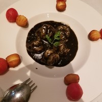 CINA New Modern Chinese - 