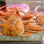 ビストロ割烹 YAOYA - 