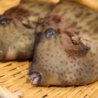鮨やぎぬま_2