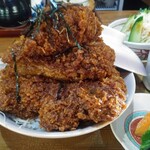 カーピット アルル - かつ丼アップ