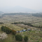 フォレストイン伊万里 レストラン - 梅園（NO2)