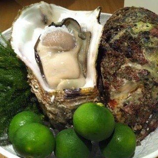 那古野 沢瀉食堂_2