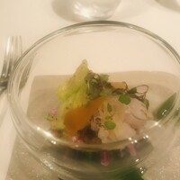 ジョンティ アッシュ - 