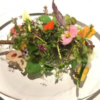 レフェルヴェソンス - 