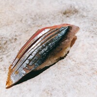 鮨 つぼみ - 