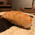 鮓 きずな - しらさ海老昆布締め