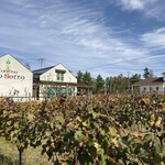 カーブドッチ - 葡萄畑とワイナリー