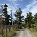 カーブドッチ - 施設内にはこんな道も