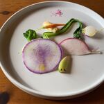 カーブドッチ - 地元西蒲原の畑から