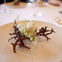 レストラン・モリエール - 