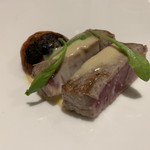 bb9 - 青森のマグロ、アイオリソース