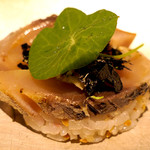 ドディチ・マッジョ - 