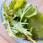 Cafe&dining blue terminal - 