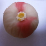 萬御菓子誂處 樫舎 - 良弁椿