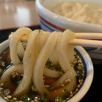 おうどん 瀬戸晴れ - 釜揚げうどん（正規メニューではないので、注文時には事前に確認してください）