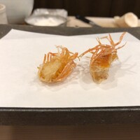 天白 - 軽くて期待大