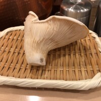 天白 - はくれいだけ