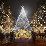 レストラン 樹林 - メイン写真: