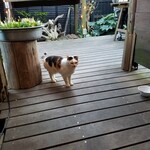 カフェ 坂の下 - 