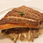 ミマキ - 天草産真鯛のムニエル。きのこソース。