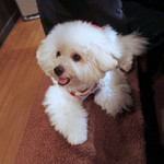 旬采 - ママも優しい〜〜♡