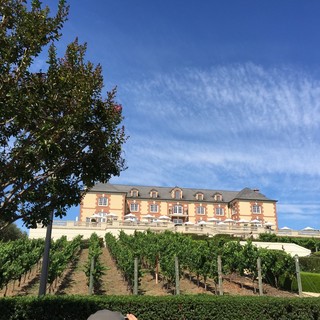 Wines carefully selected by staff who also serve as judges for the Oyster Wine Contest