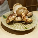 富小路 やま岸 - 