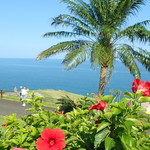 青島サンクマール - 