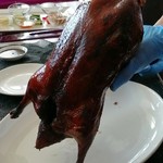 YEN CHINESE RESTAURANT  - 