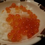 金乃竹 塔ノ澤 - いくらご飯