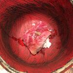 鳥茂 - サーロイン