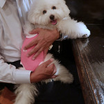 旬采 - お家に帰りましょうね・・♡