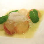 エルルカン・ビス - 