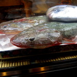 酒中花 空心  - ショーケースの中のマゴチ