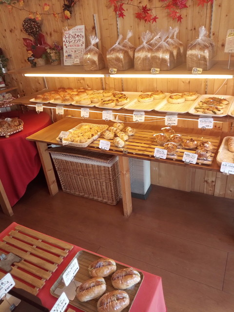 Pomme de Pan photo 4