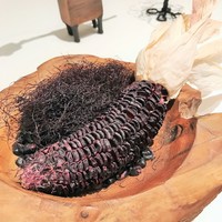 エディション・コウジ シモムラ - ペルーの真っ黒なトウモロコシ