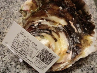 h Shunjuu - ”タグ付”岩牡蠣　季節限定　生牡蠣やコースの一皿にて