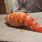 鮨 つぼみ - 車海老