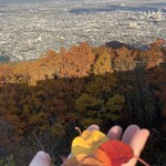 らー麺　Do・Ni・Bo - 紅葉もそろそろ終わりかなぁ〜