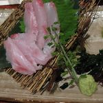 やきとり 日本酒 ふくの鳥 - め鯛刺身