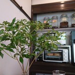 いなだ珈琲舎 - 