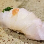 鮨匠 のむら - (17)スジアラ(鹿児島県開聞岳沖産、2.8kg、3日寝かせ)
      産卵期は春～夏、旬は通年美味しい。
      沖縄三大美味魚の筆頭のアカジン。
      南方系のハタなので身は柔らかめですが、独特な旨みと甘みがあります。